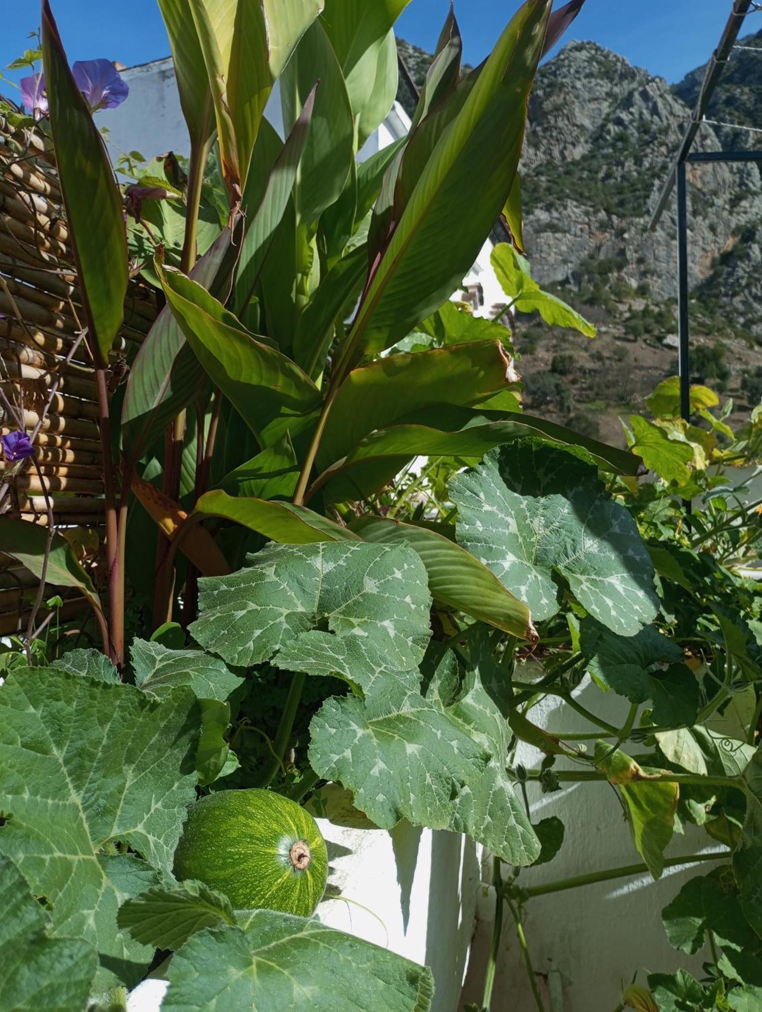 Bed and Breakfast Dar Sbaa Chefchaouen Exterior foto